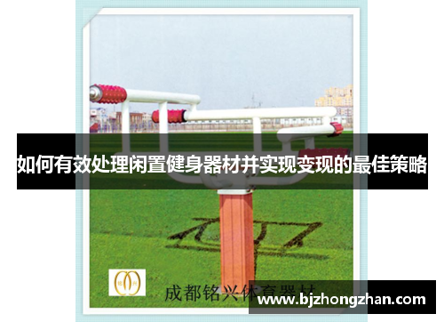 如何有效处理闲置健身器材并实现变现的最佳策略