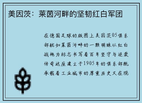 美因茨：莱茵河畔的坚韧红白军团