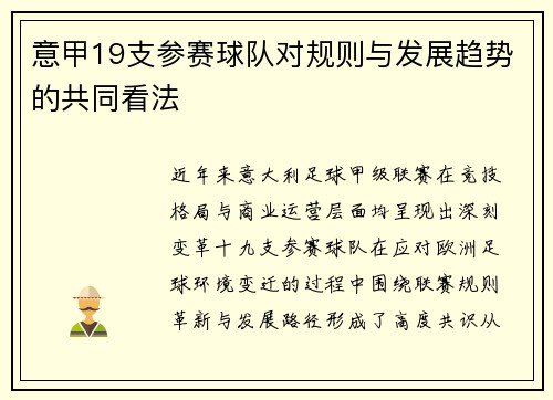 意甲19支参赛球队对规则与发展趋势的共同看法